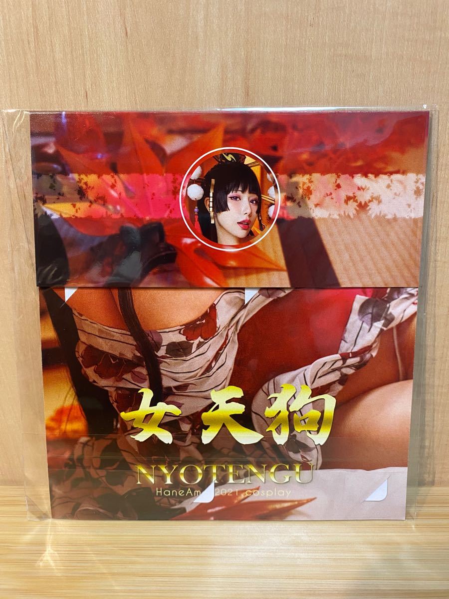 Hane Ame 雨波コスプレ写真集 DOA 女天狗 + 初回特典付属 Hane Ame