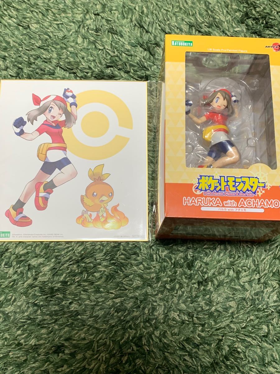 ポケットモンスター ハルカ with アチャモ 特典色紙付き | befoods.cl