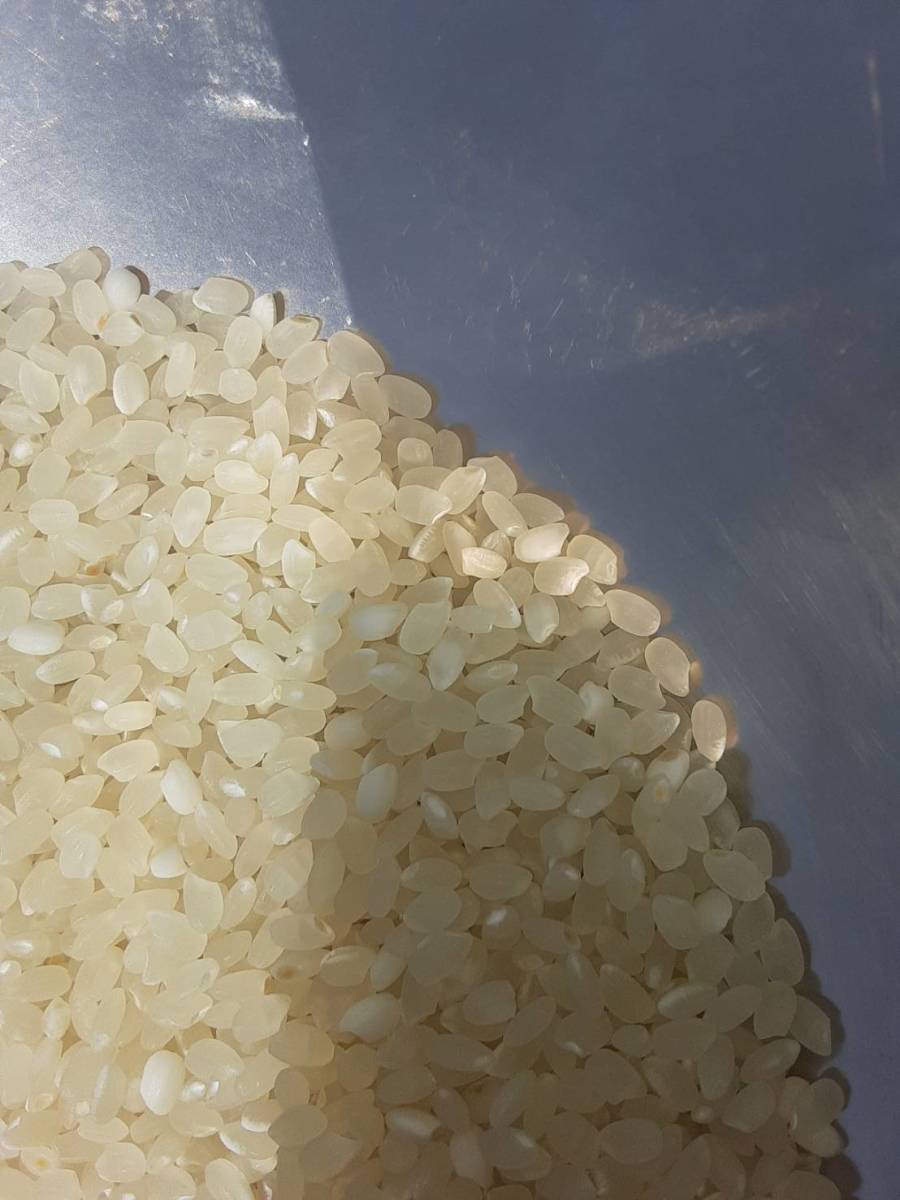 精米　10kg　透き通るような白米　送料無料　ブレンド米　うるち　白米　新米　特売品　お買得　低価格　もっちり白米　おいしいお米　新米_画像3