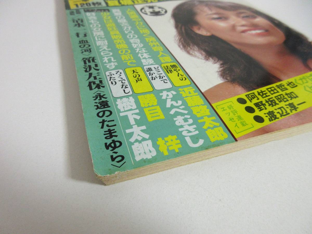 人気ブランド 週刊小説 昭和54年 8月31日号 表紙 中島はるみ 実業之日本社 RY252 -小説一般