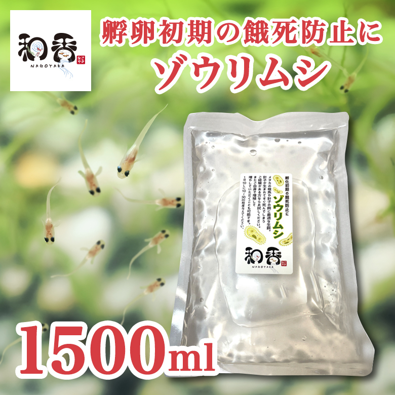 送料無料★ゾウリムシ 種水1500ml★ めだかグッピーベタ金魚の稚魚ビーシュリンプの生餌 ミジンコクロレラPSB同梱可_★沢山湧いています★