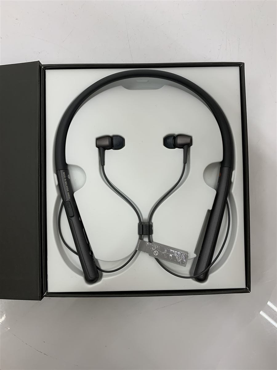 SONY◇イヤホン・ヘッドホン h.ear in 2 Wireless WI-H700 (B SONY◇イヤホン・ヘッドホン h.ear in 2 Wireless WI-H700 (B