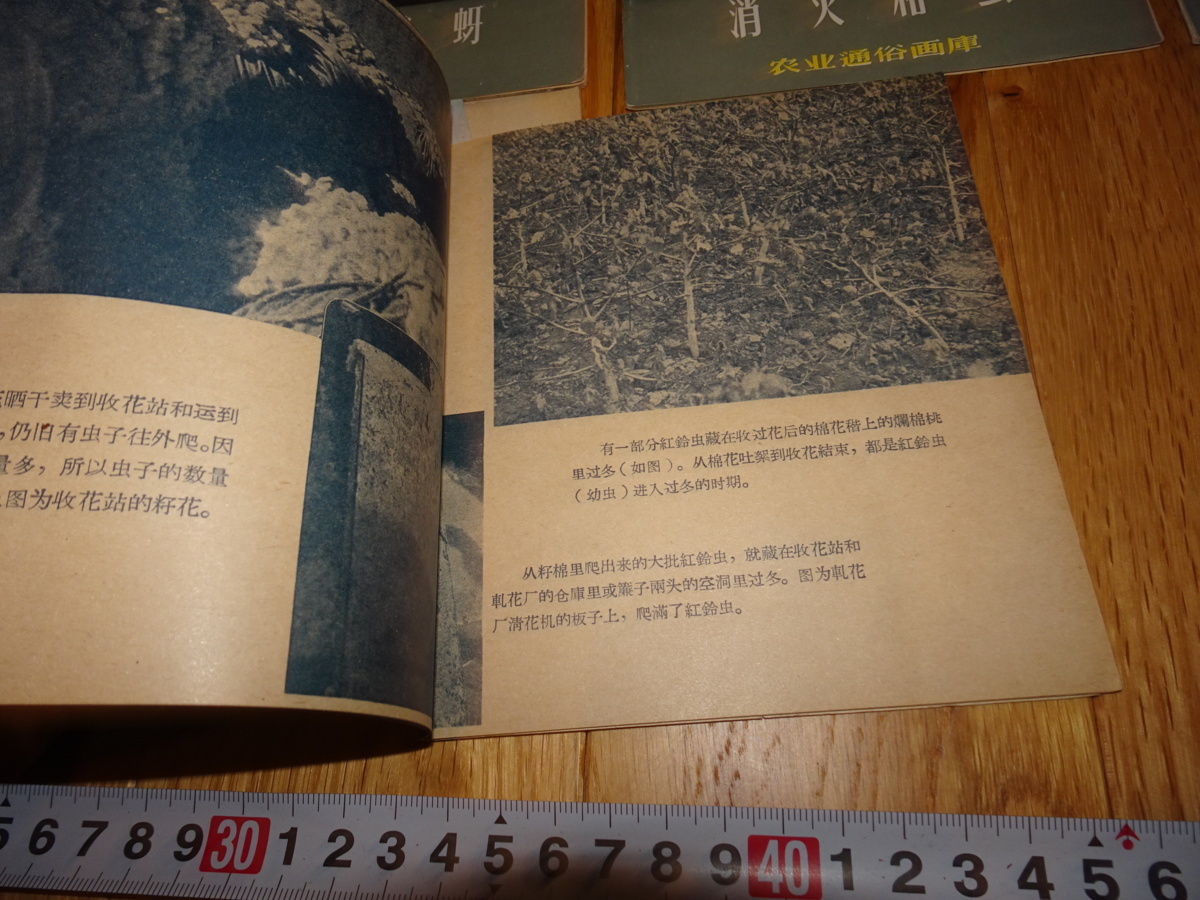 新作激安rarebookkyoto H465　中国　絵本　農業通俗画庫　第三集　1957　年　上海人美　租界　毛主席　潘天寿 花鳥、鳥獣