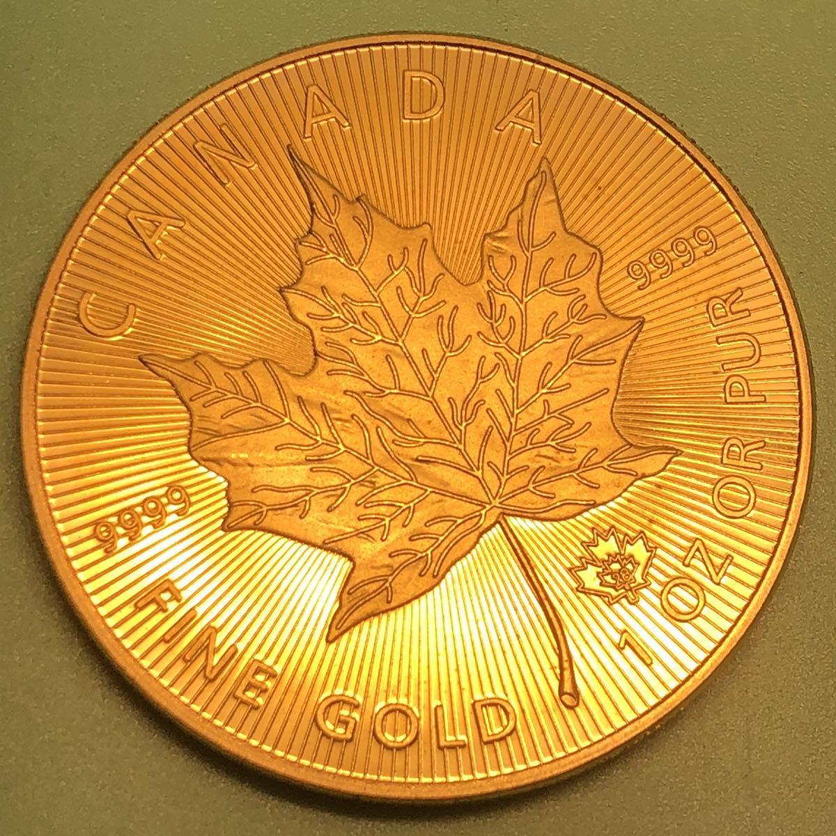 1オンス カナダ メイプルリーフ金貨 エリザベス女王 大型金貨 コイン 