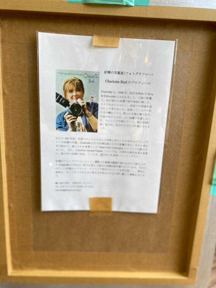 祝開店!大放出セール開催中 【シャーロットバード Bird】シーウィッシーズ 油絵仕立て Charlotte - 絵画 - www.may-clean.co.il 祝開店!大放出セール開催中 【シャーロットバード Bird】シーウィッシーズ 油絵仕立て Charlotte - 絵画 - www.may-clean.co.il
