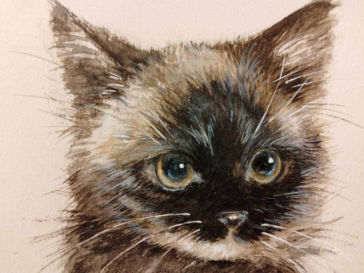 猫のイラスト 水彩画 リアル猫 手描き 猫アート B6サイズ 動物画 売買されたオークション情報 Yahooの商品情報をアーカイブ公開 オークファン Aucfan Com
