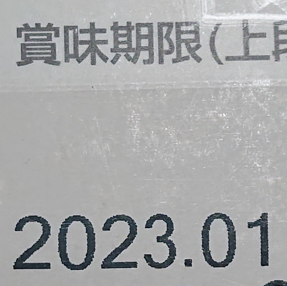 60個  ネスカフェドルチェグスト 専用カプセル　リッチブレンド