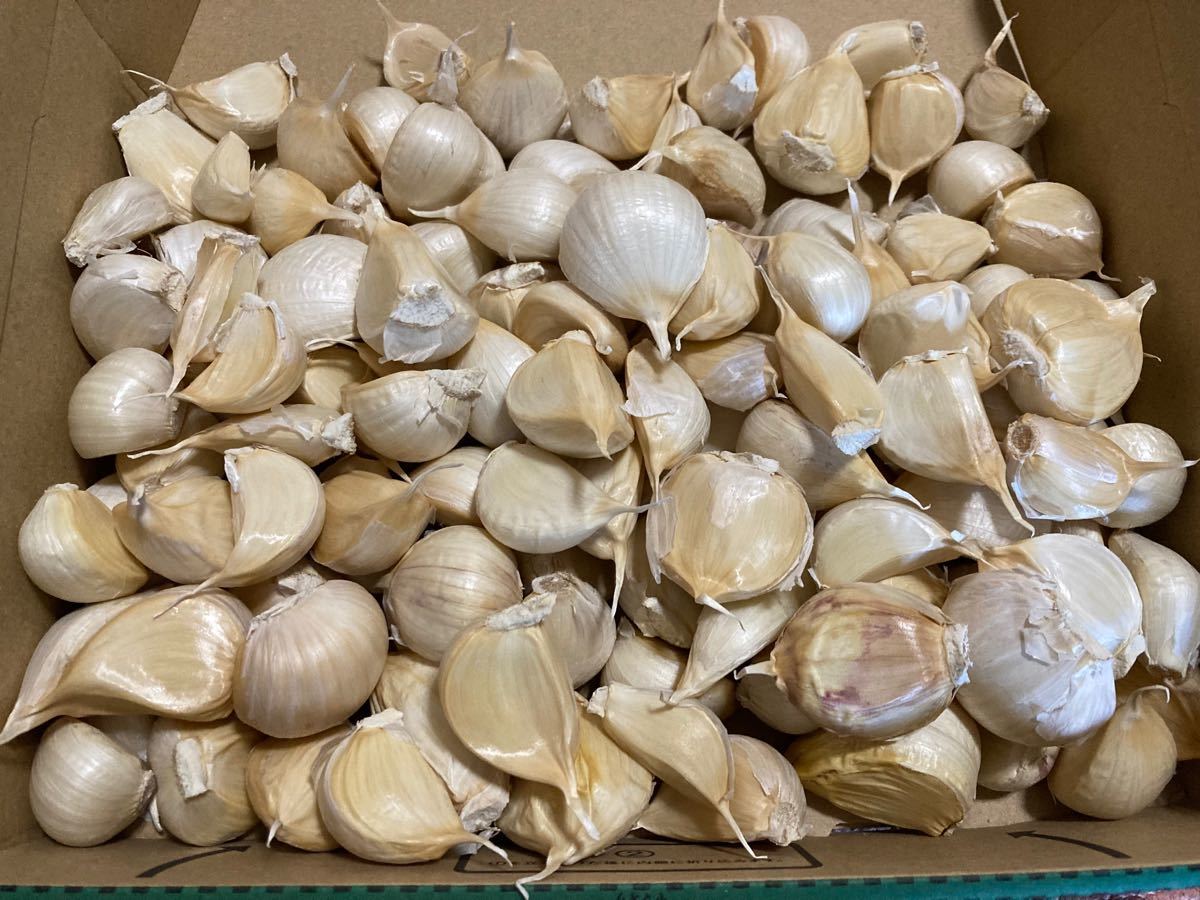 PayPayフリマ|青森県産 福地ホワイト6片ニンニク2kg Lサイズ球バラし PayPayフリマ|青森県産 福地ホワイト6片ニンニク2kg Lサイズ球バラし