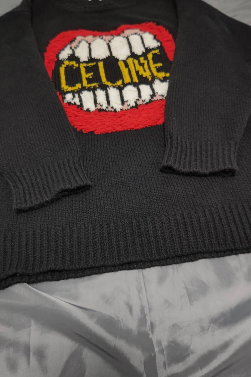 Dettagli dell'articolo CELINE セリーヌ エディスリマン 21SS THE