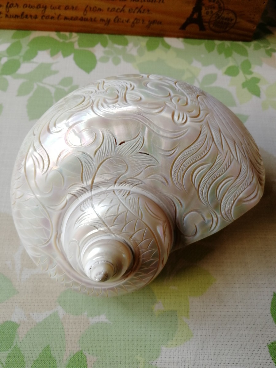 ［希少］天然貝殻彫刻芸術品