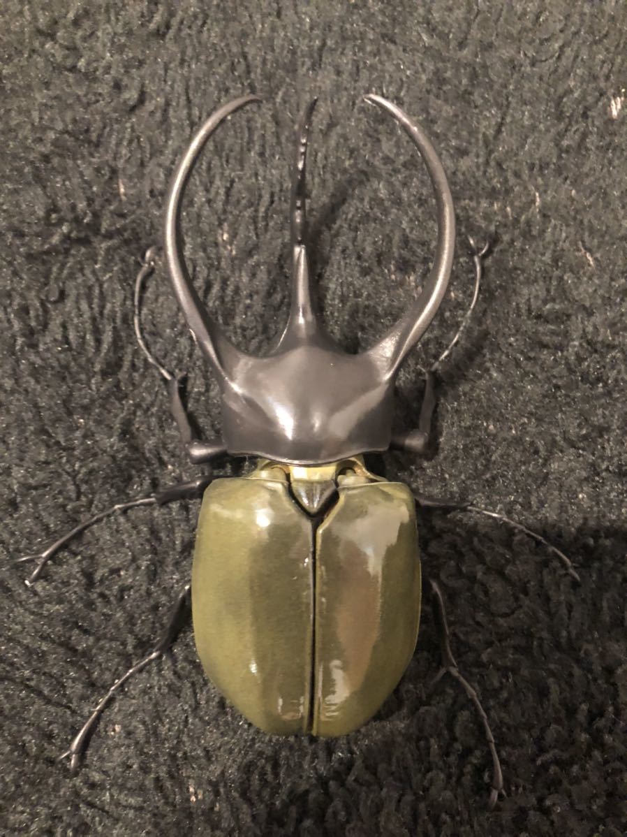 いきもの大図鑑 カブトムシ ガチャ コーカサスオオカブト リペイント ...