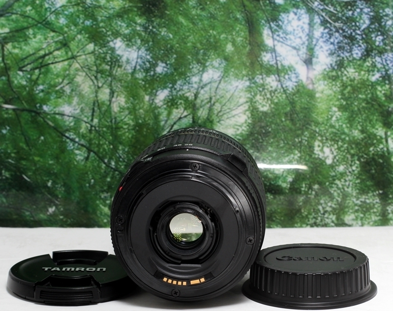 ☆軽くて近くも遠くも撮れる超便利な1本♪TAMRON 28- ☆軽くて近くも遠くも撮れる超便利な1本♪TAMRON 28-
