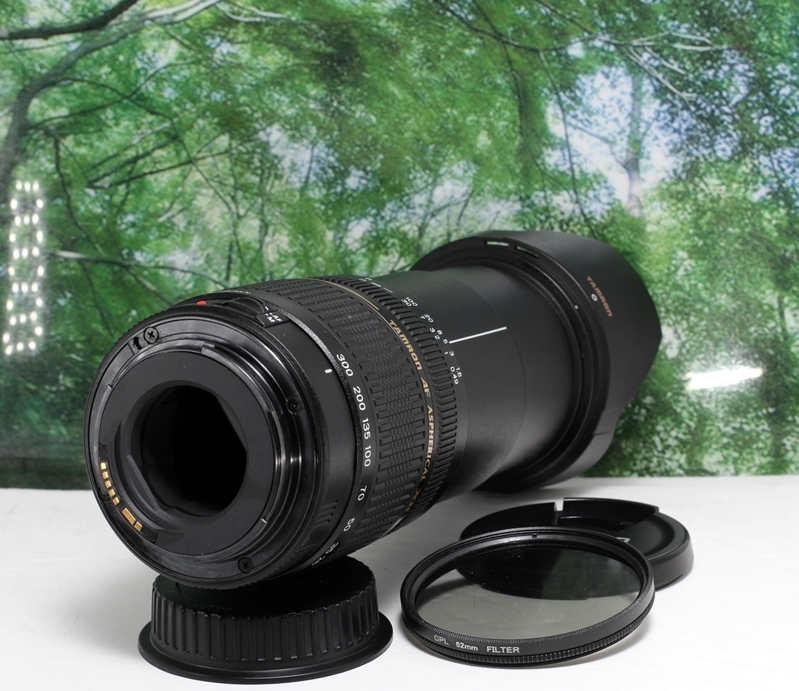 ☆軽くて近くも遠くも撮れる超便利な1本♪TAMRON 28- ☆軽くて近くも遠くも撮れる超便利な1本♪TAMRON 28-
