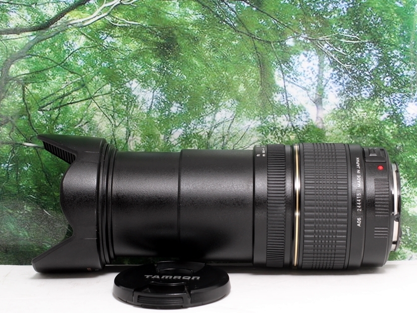 ☆軽くて近くも遠くも撮れる超便利な1本♪TAMRON 28- ☆軽くて近くも遠くも撮れる超便利な1本♪TAMRON 28-
