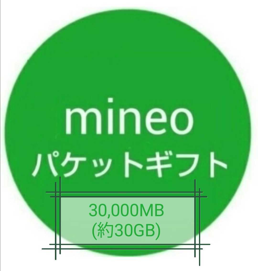 【迅速対応】mineo（マイネオ）パケットギフト 30000MB(約30GB)_画像1