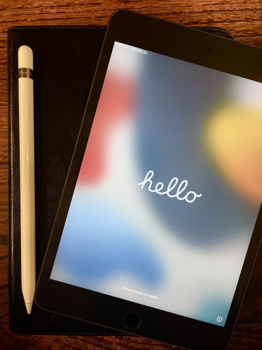 Apple iPad mini5 Cellularモデル スペースグレイ 64GB＋アップル