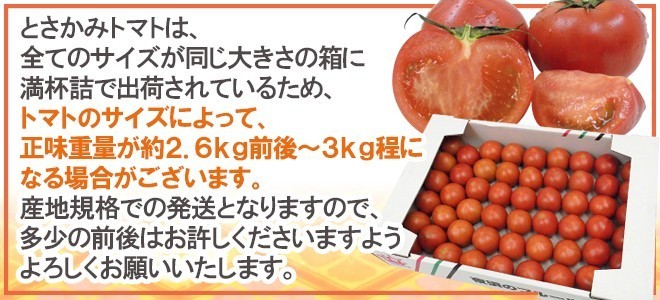 限定1箱！高知県夜須産【とさかみトマト】約3kg 高糖度 夜須のフルーツトマト！！！！_画像10