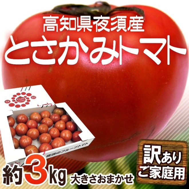 限定1箱！高知県夜須産【とさかみトマト】約3kg 高糖度 夜須のフルーツトマト！！！！_画像1