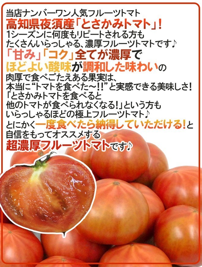 限定1箱！高知県夜須産【とさかみトマト】約3kg 高糖度 夜須のフルーツトマト！！！！_画像3