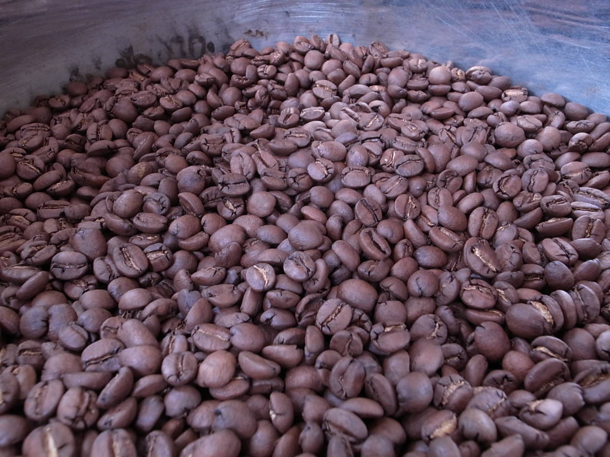 自家焙煎アチャオコーヒー 自然豊かな〜コスタリカ タラス ブラックハニー 焙煎したて100g 送料込み！_画像1