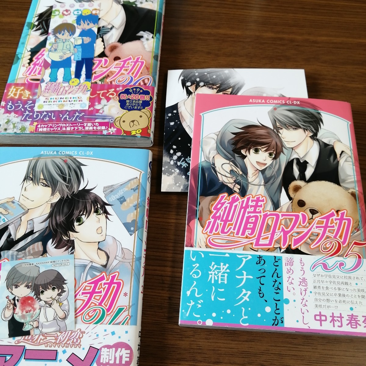 【値下げ】純情ロマンチカ 全巻セット 世界一初恋　1~16巻+小説　中村春菊