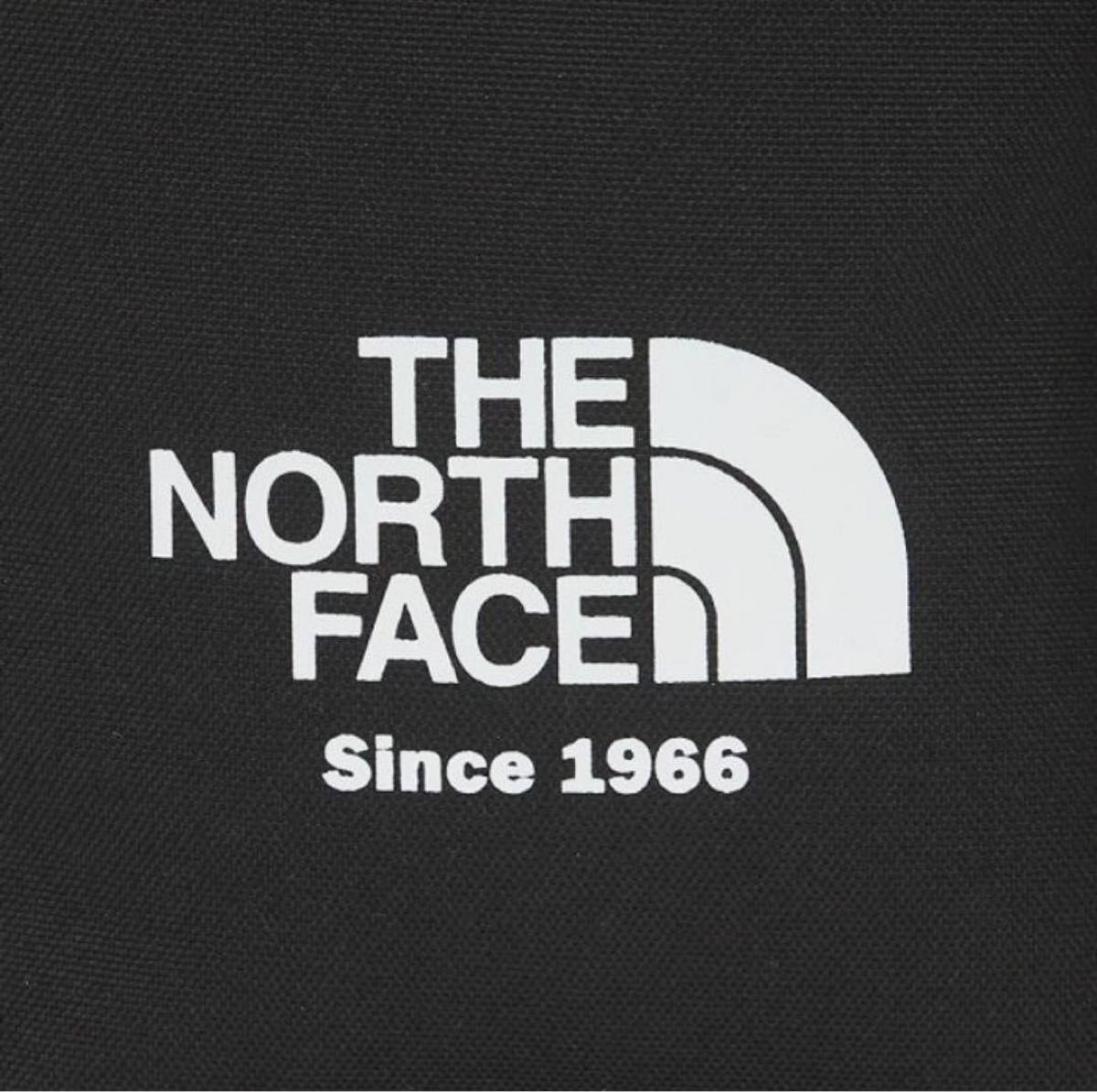 【新品】THE NORTH FACE 海外限定モデル　ノースフェイス　WL BUCKET BAG MINI （黒）