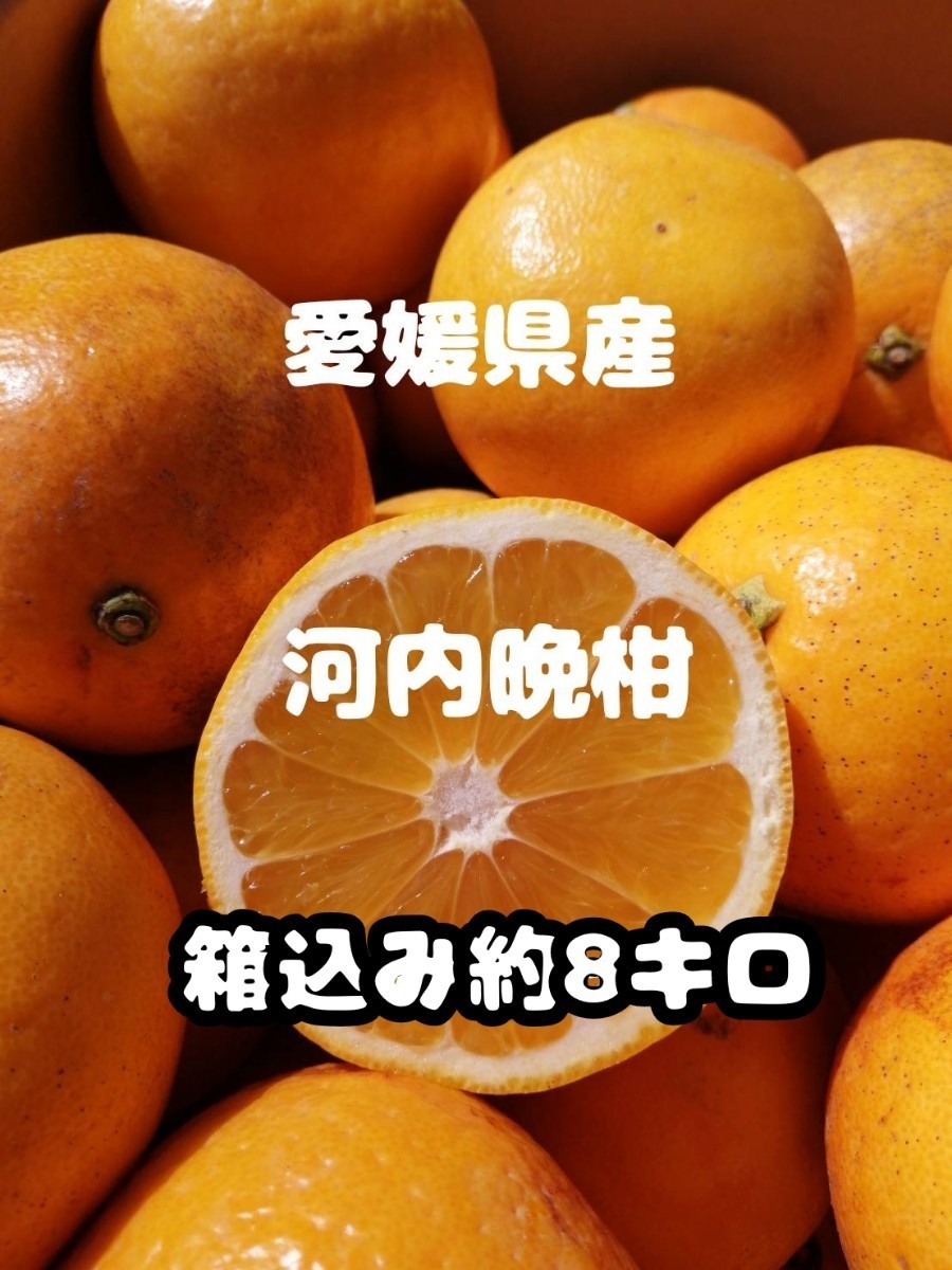 2002年春 愛媛県産 河内晩柑 箱込み約8㎏ 訳あり 柑橘 みかん 通販