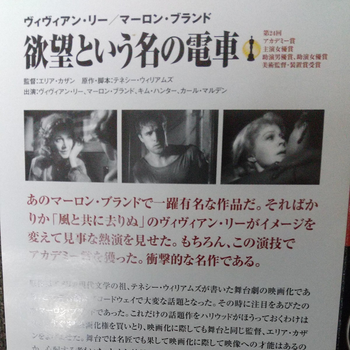 DVD ビビアンリーコレクション DVD 3枚組哀愁アンナカレーニナ 欲望という名の電車
