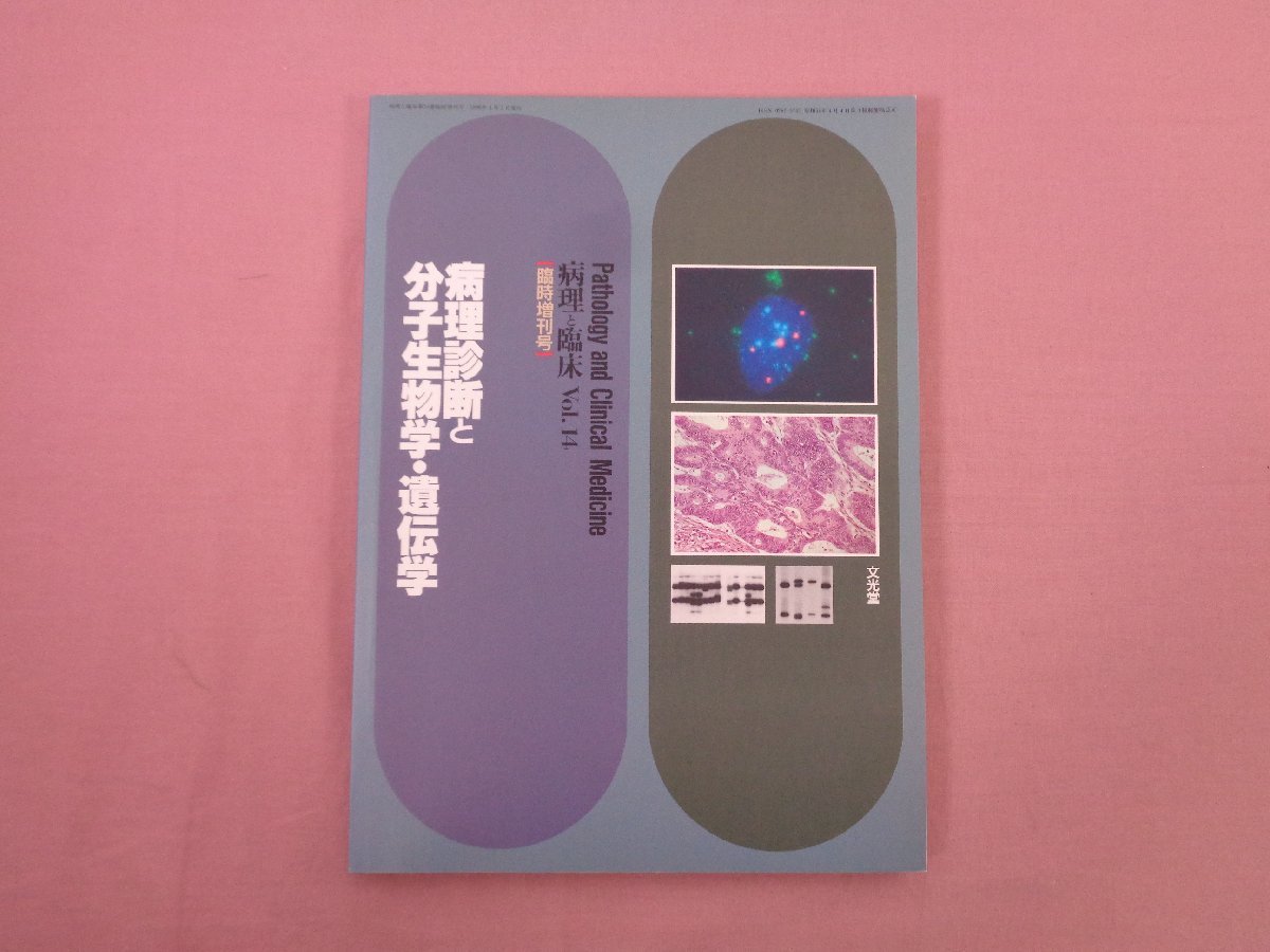 『 病理診断と分子生物学・遺伝学　病理と臨床 Vol.14 臨時増刊号 』 文光堂_画像1