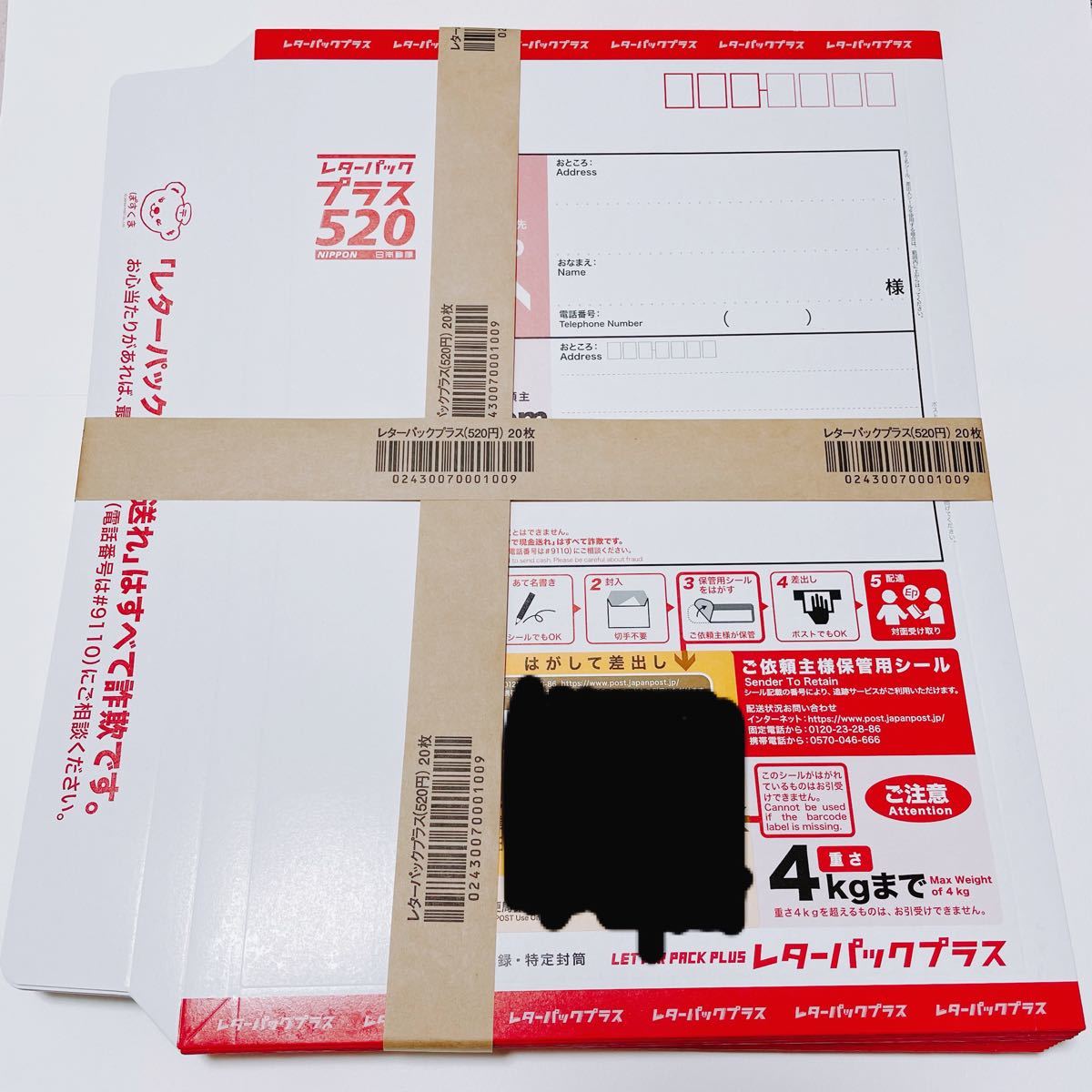 クーポン超特価 レターパックプラス 日本郵便 520 20枚 セット 520円 