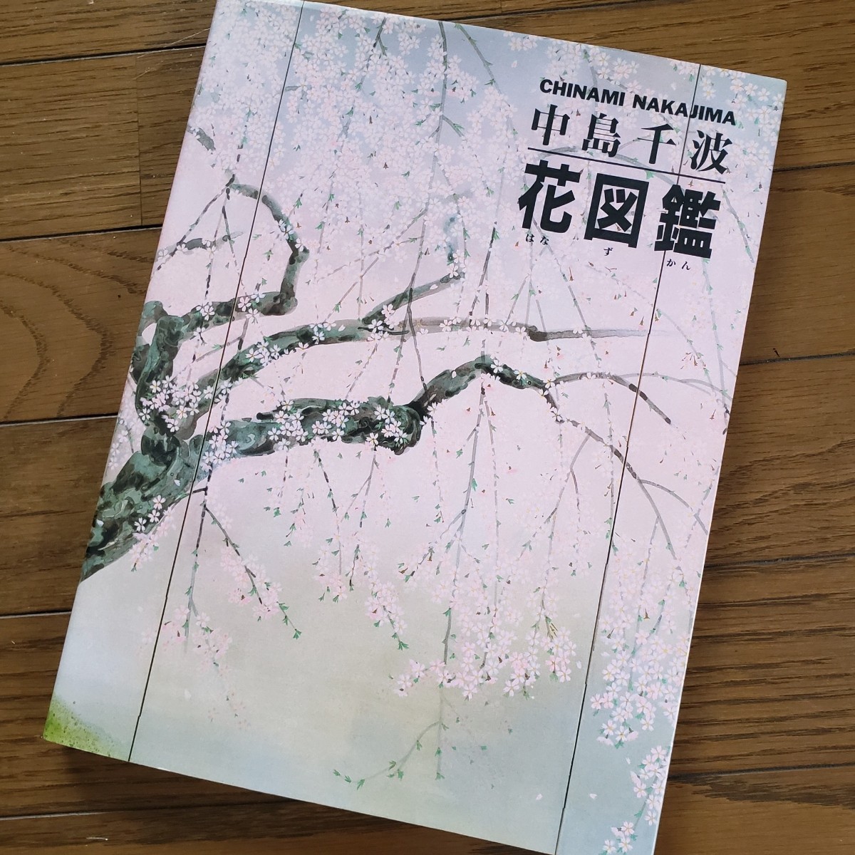 数量限定！特売 中島千波・花図鑑 雑誌