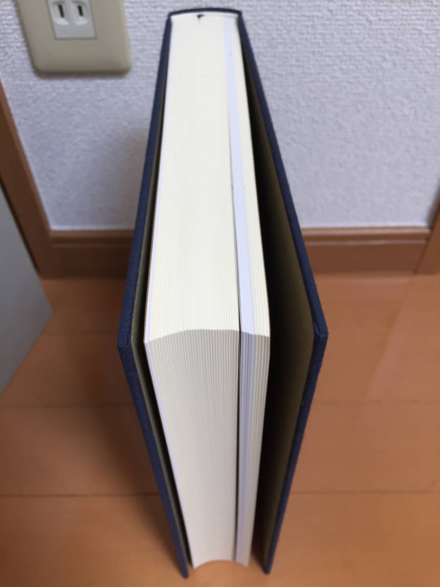 チッソ 株式会社史 風雪の百年 非売品◇野口遵 日本窒素肥料 チッソ 株式会社史 風雪の百年 非売品◇野口遵 日本窒素肥料
