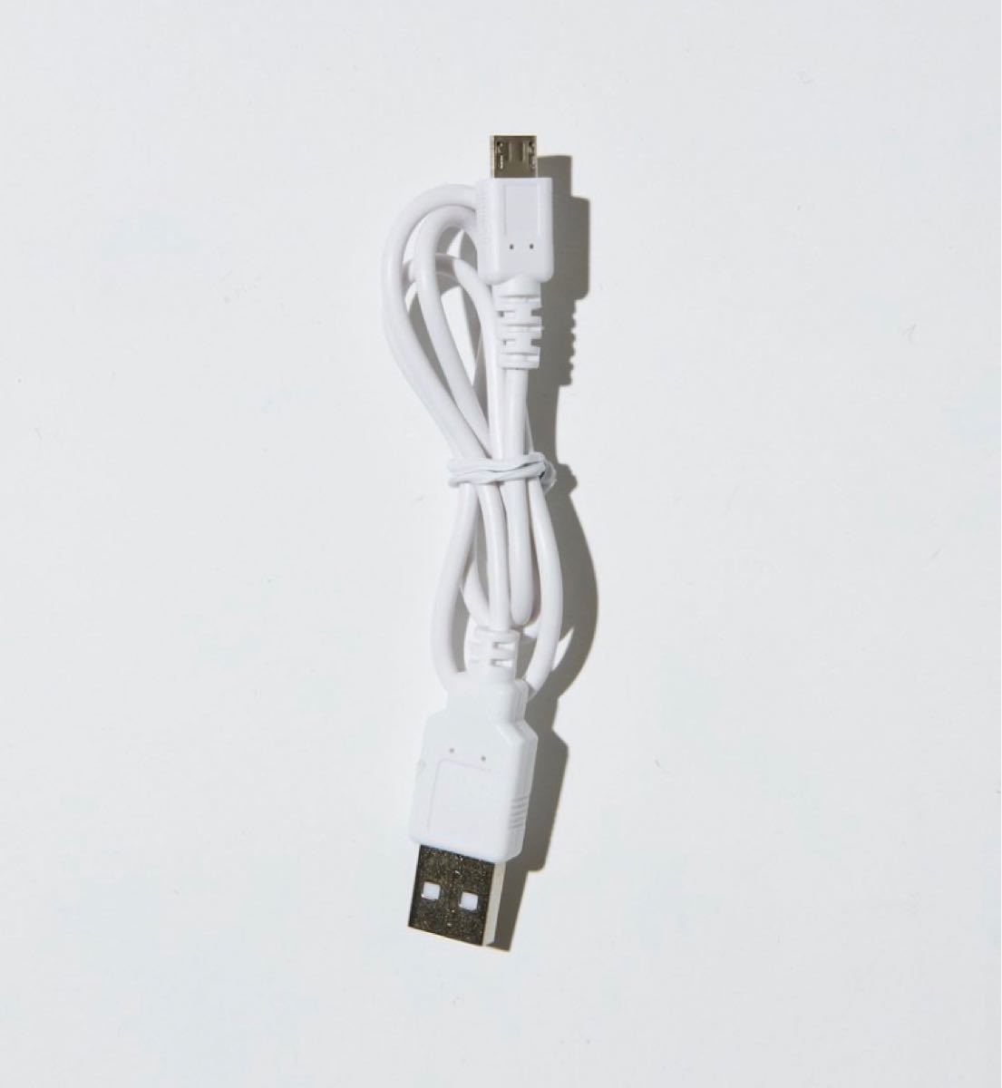 【別注】 ＜COLEMAN(コールマン)＞  HNGNG E-LT/ハンギングE-ライト 充電式 USB