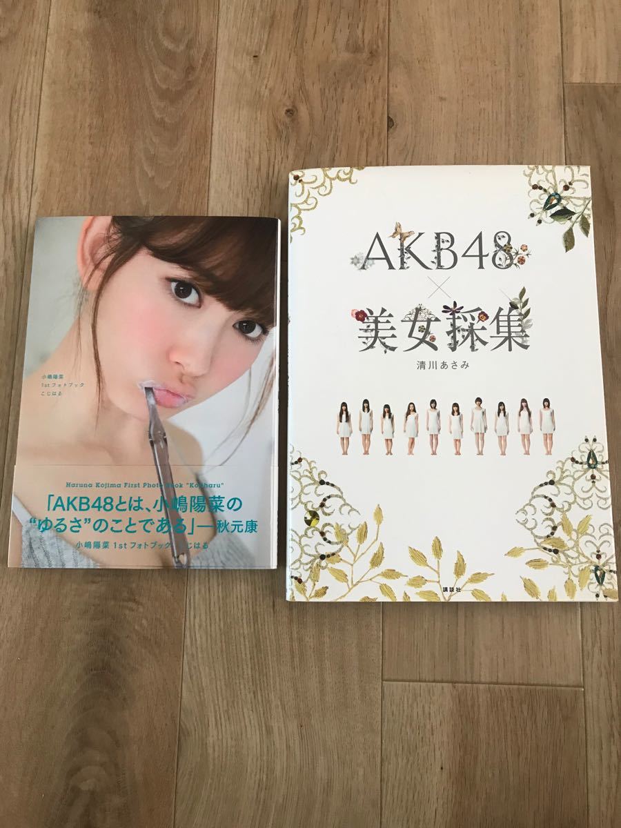 2冊セット！　こじはる 小嶋陽菜 写真集 ポートレート AKB48 フォトブック　美女採集　静川あさみ