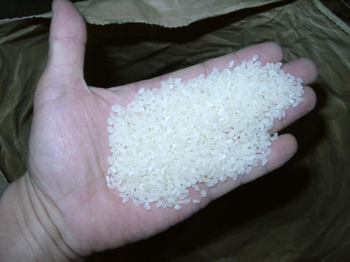 令和３年産新米 ミルキークイーン玄米10kg（5kg×2袋）白米・分搗き精米・クリーン白米無洗米基準対応 条件付き送料無料_画像3