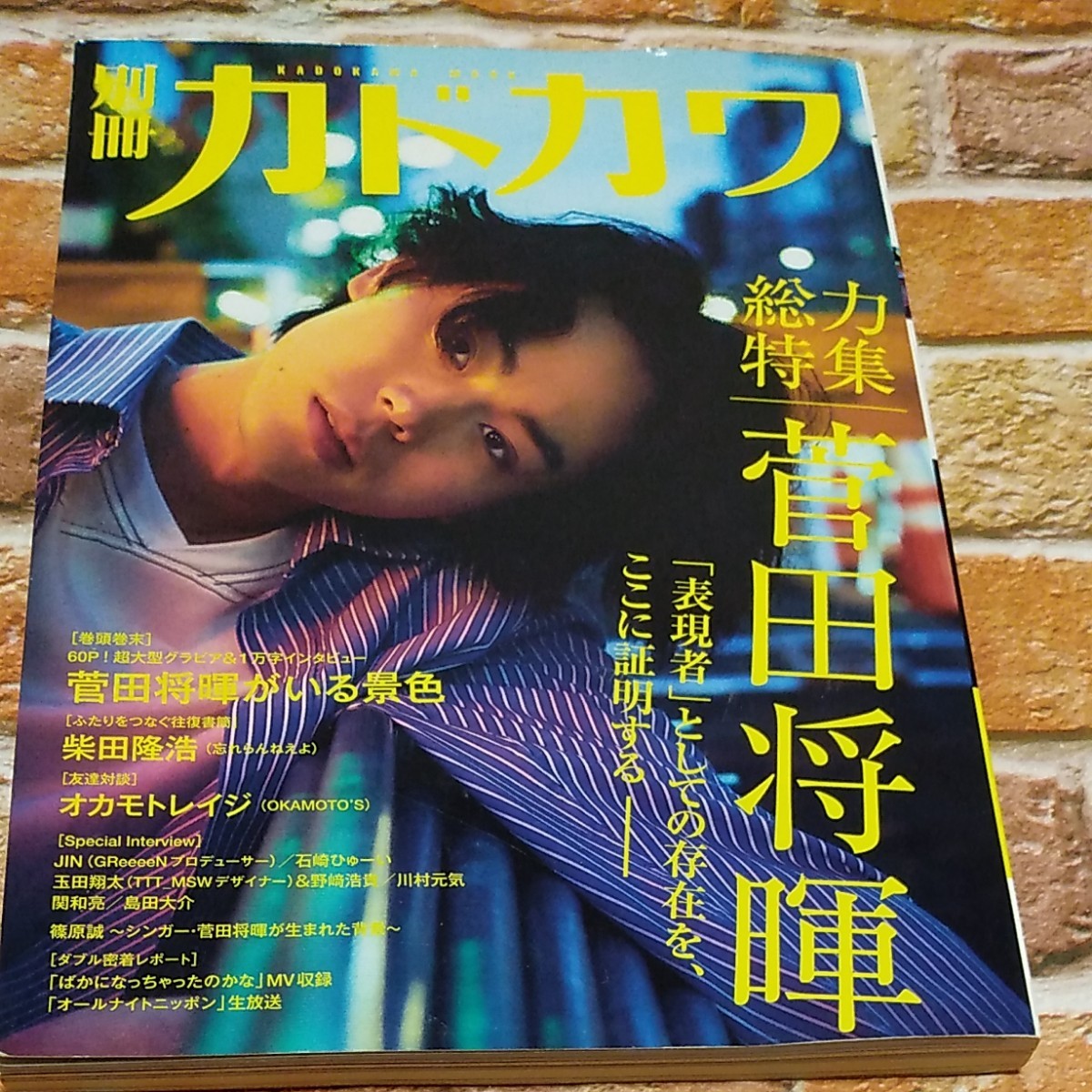 別冊カドカワ 総力特集 菅田将暉 カドカワムック／ＫＡＤＯＫＡＷＡ 別冊カドカワ 菅田将暉