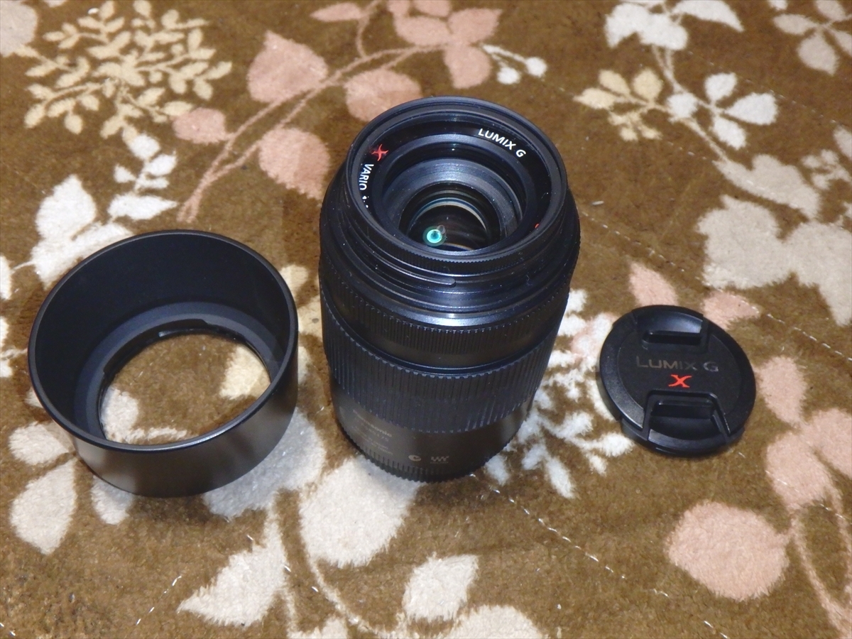 送料無料 LUMIX G X VARIO PZ 45-175mm F4.0-5.6 ASPH. POWER O.I.S.
