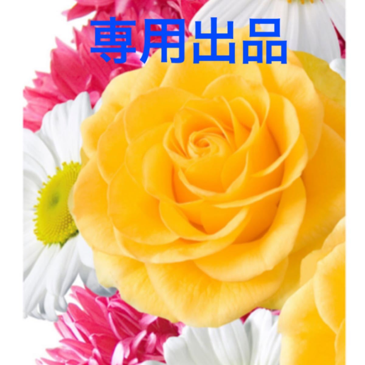 K様専用出品です お取り置き www.erpyme.cl