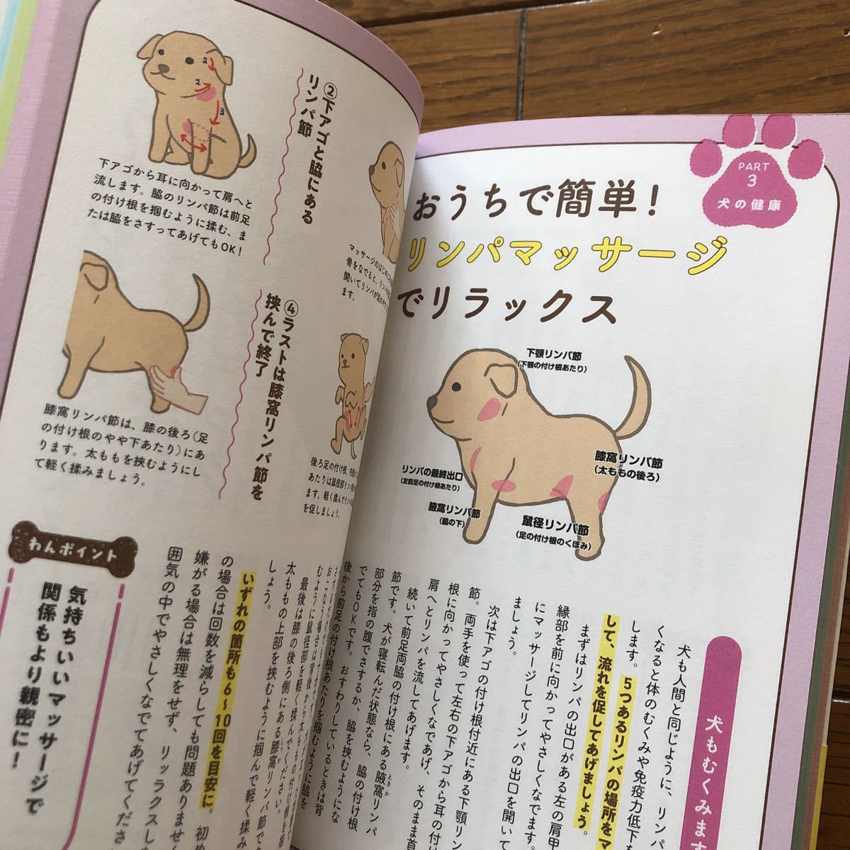イラストでわかりやすい 愛犬との絆がぐーっと深まる本 ペット犬しつけ Yahoo Japan Auction Bidding Amp Shopping Support Deputy Service Japamart