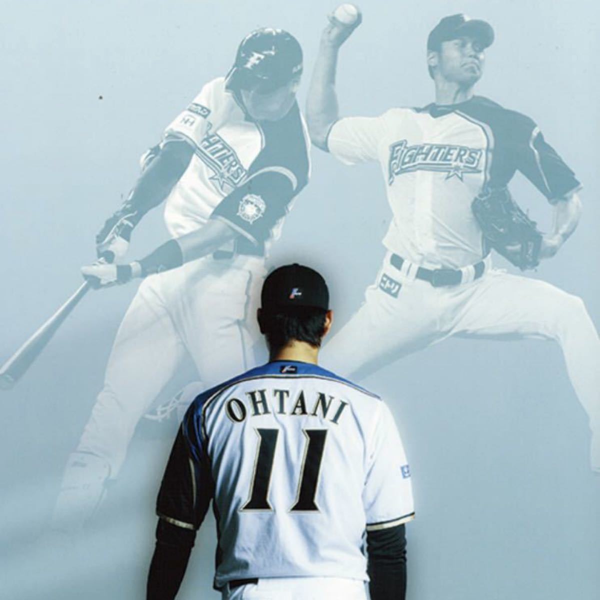 北海道日本ハムファイターズ 大谷翔平 ユニフォーム - 応援グッズ 北海道日本ハムファイターズ 大谷翔平 ユニフォーム - 応援グッズ