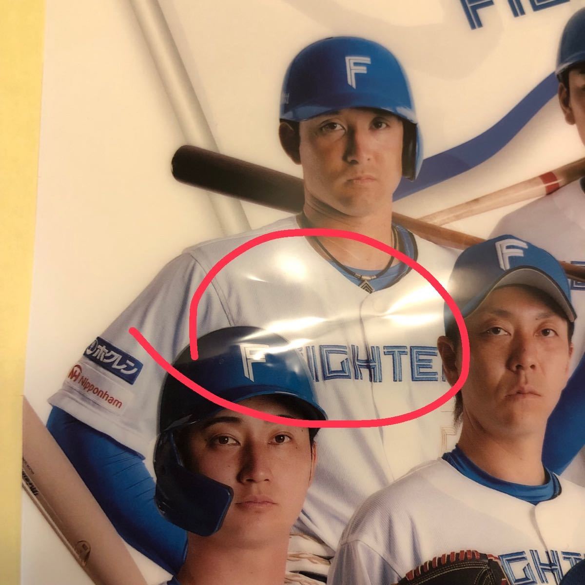 Paypayフリマ 日本ハムファイターズ 日ハム Ga鮭ぬいぐるみ しゃけまる クリアファイルセット 応援グッズ Paypayフリマ 日本ハムファイターズ 日ハム Ga鮭ぬいぐるみ しゃけまる クリアファイルセット 応援グッズ