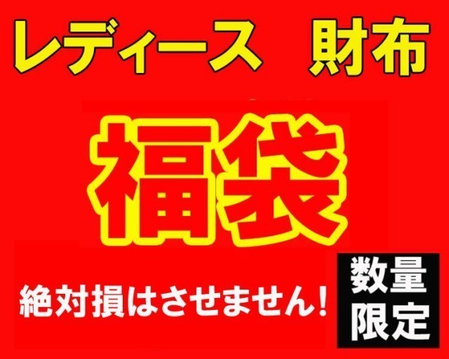 数量限定 大当たり 福袋 レディース 財布 サイフ 15000円_画像1