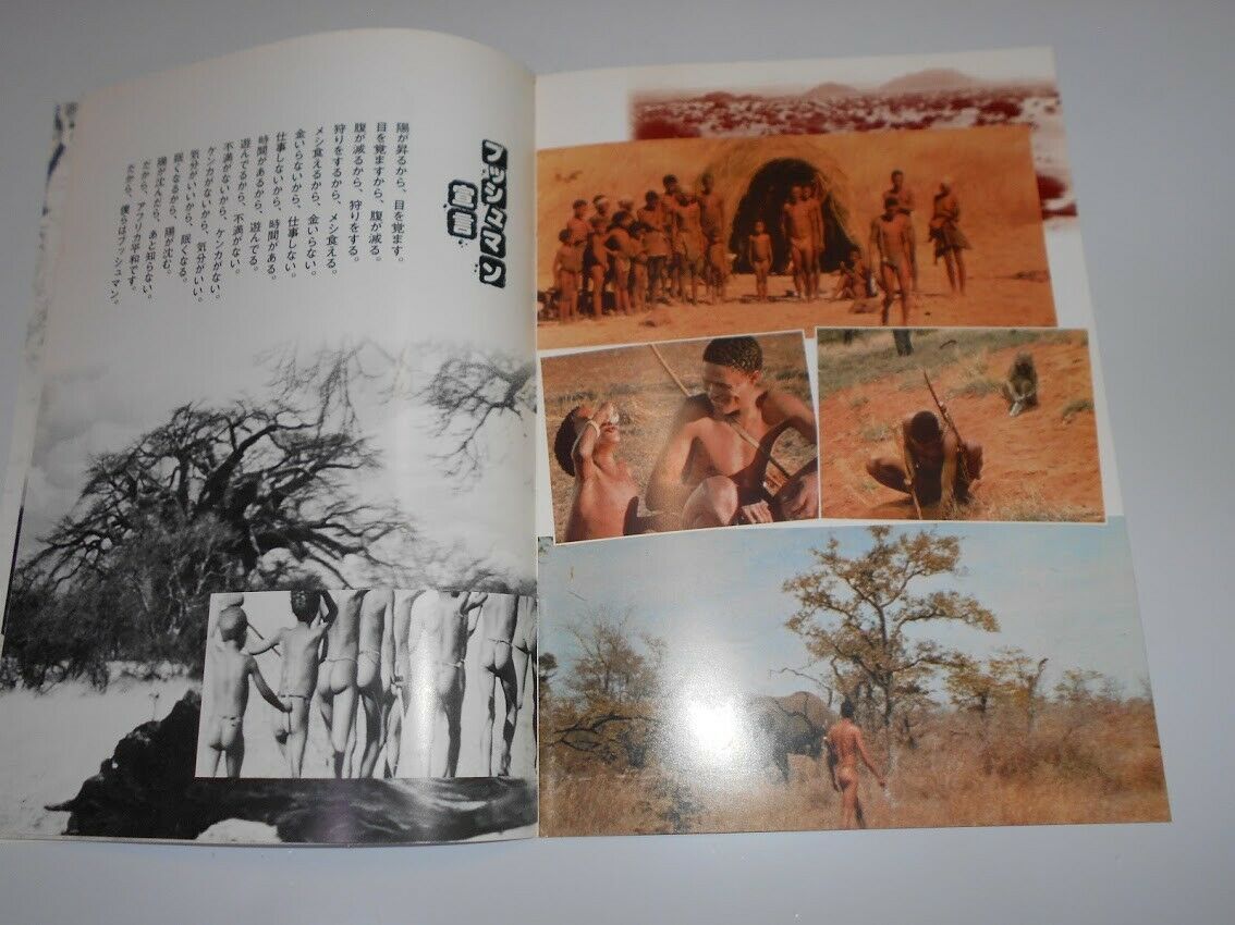 映画 パンフレット チラシ付 ミラクル・ワールド ブッシュマン BUSH MAN 1981 ジャミー・ユイス ニカウ 南アフリカ・ボツワナ共和国の画像6