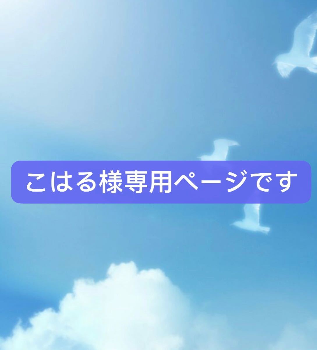 こはる様専用ページです｜Yahoo!フリマ（旧PayPayフリマ）