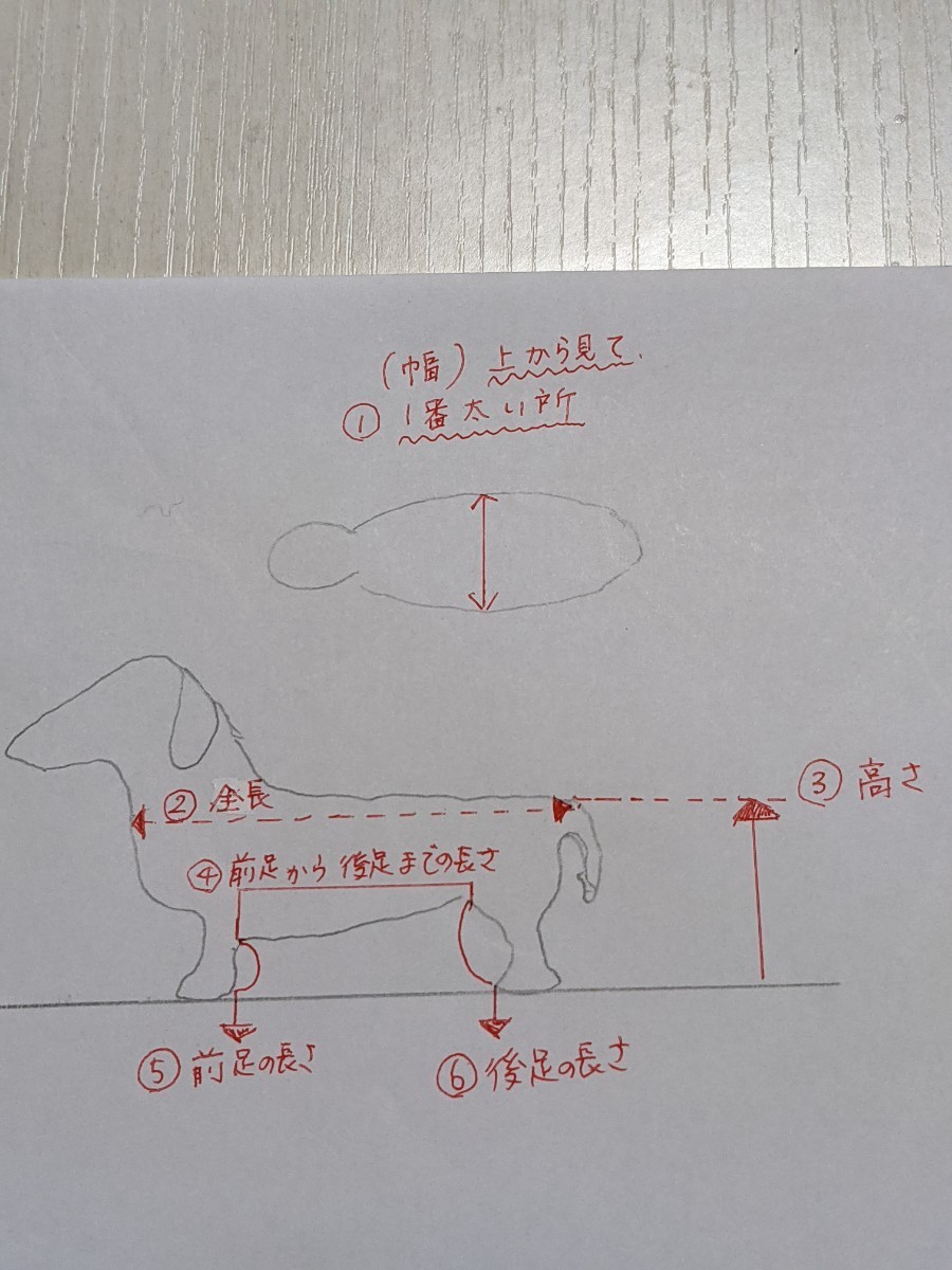 ワンちゃん歩行器!リハビリ用!犬歩行器!ミニチュアダックスフンド用