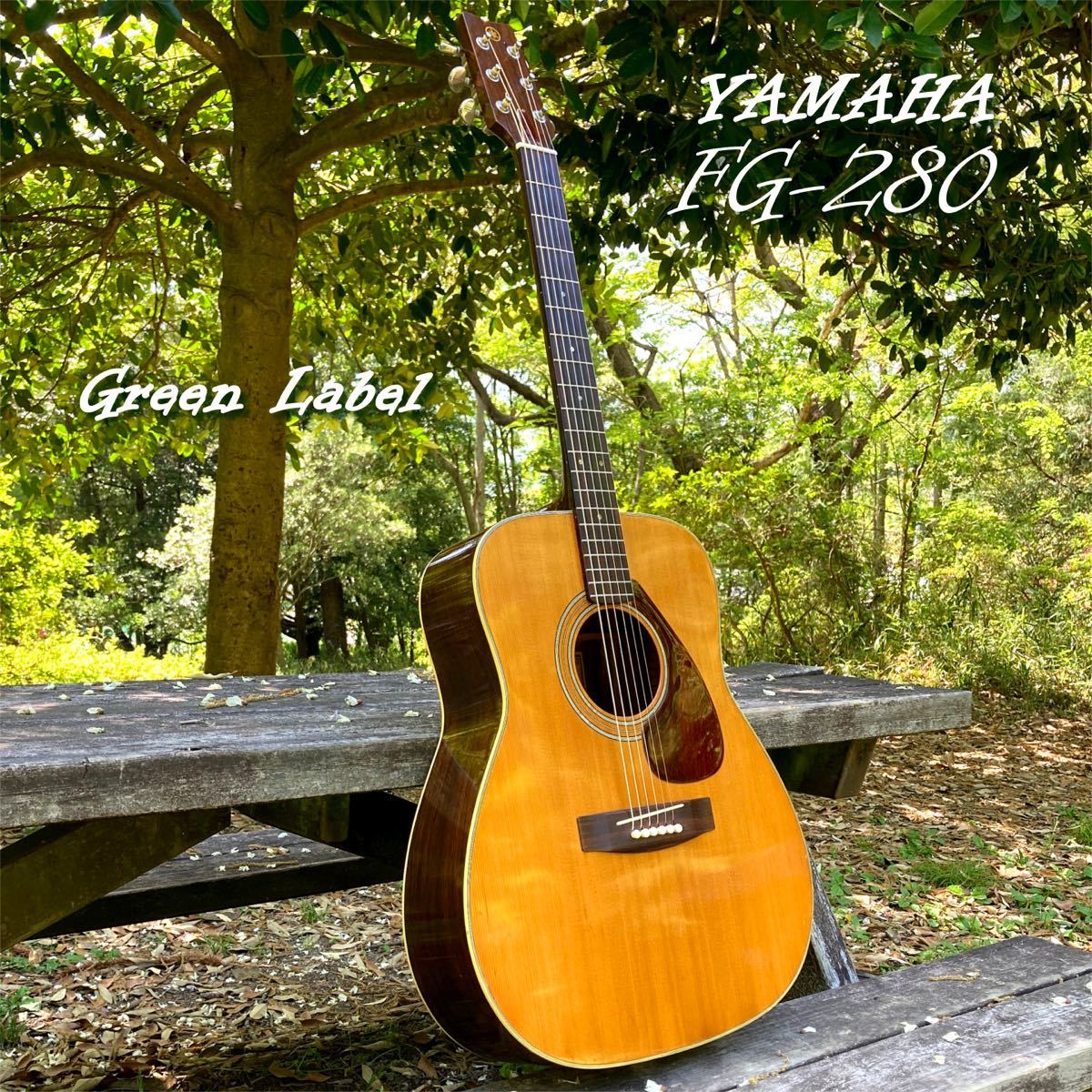 全新品 YAMAHA FG 280 (グリーンラベル) www.lagoa.pb.gov.br