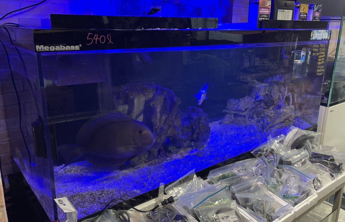 150*60*60オーバフロー水槽+150*60*70水槽台+120濾過層セット