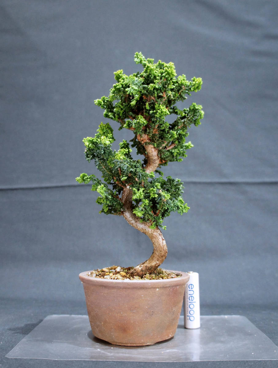  stone .. bonsai depth 10cm width 10.5cm height 23cm