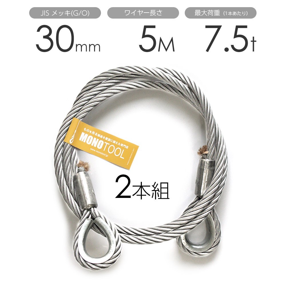 まとめ買いでお得 玉掛けワイヤー 2本組 30mmx5m メッキ 両シンブル 工事用材料 まとめ買いでお得 玉掛けワイヤー 2本組 30mmx5m メッキ 両シンブル 工事用材料