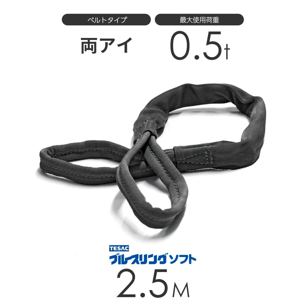 ブルースリング ソフト E型（両端アイ）0.5t × 2.5M ベルトスリング made in JAPAN_画像1